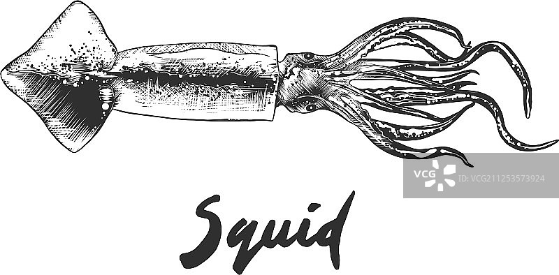 用于海报装饰和印刷的雕刻风格图片素材