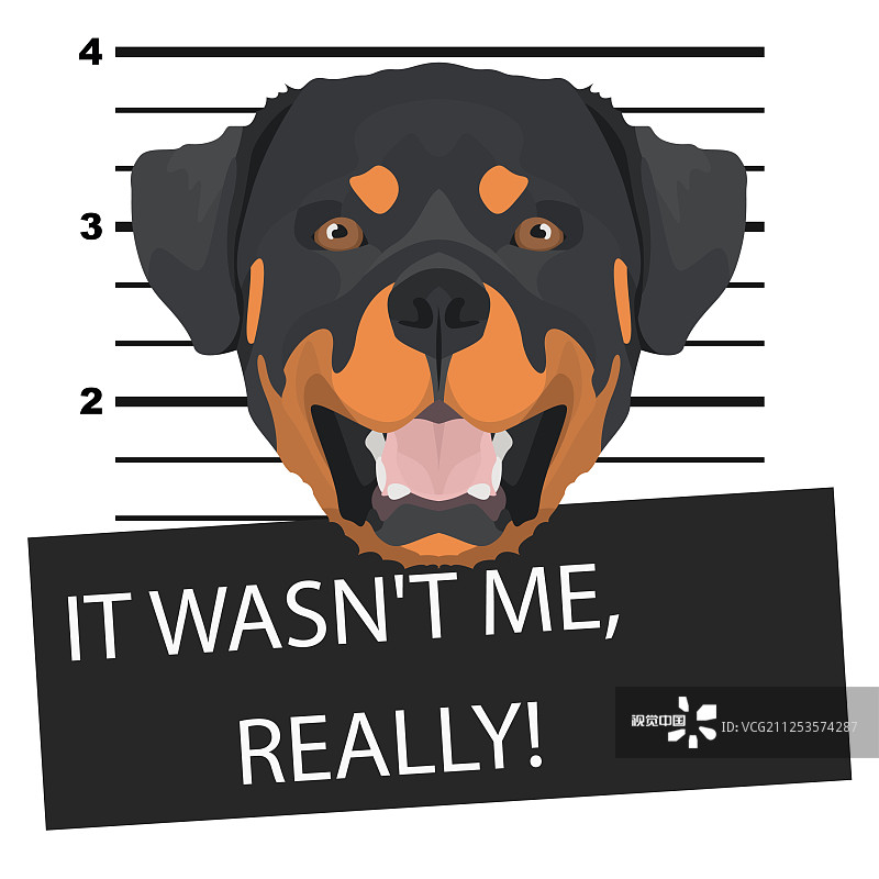 罗威纳犬的嫌犯照图片素材
