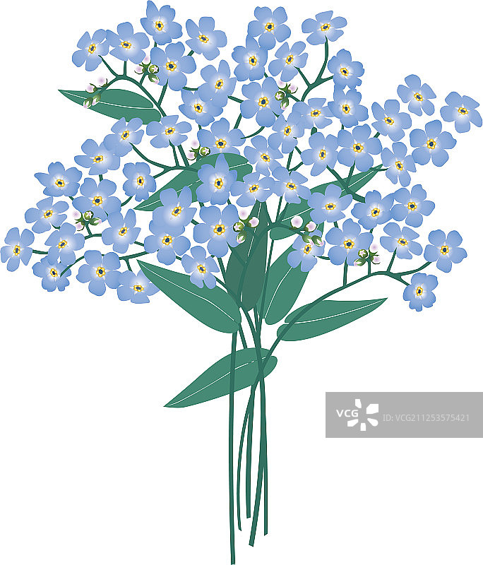 夏季花卉隔离花束图片素材