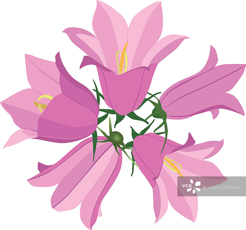 夏季花卉隔离花束图片素材