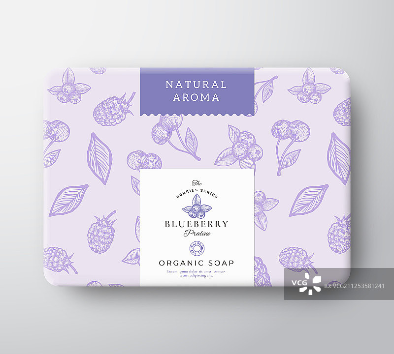 蓝莓浴皂纸盒抽象设计图片素材