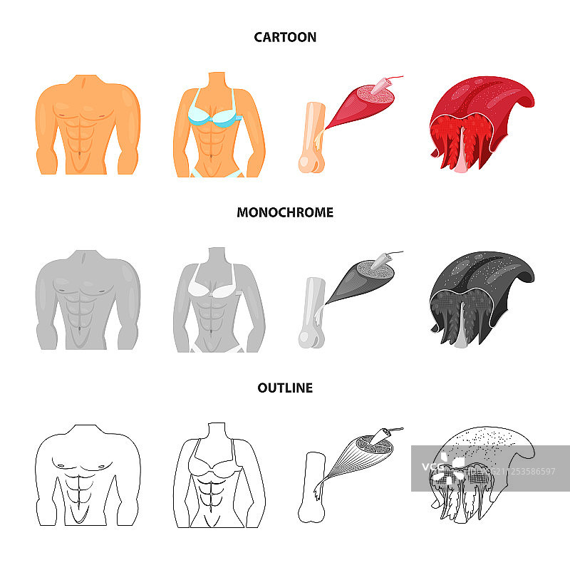 纤维和肌肉图标合集图片素材