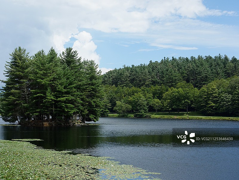 美国北卡罗来纳州风岩镇湖中岛屿的树木景观图片素材