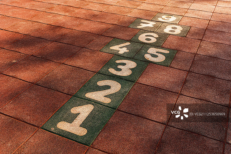 自家种植的绿色蔬菜图片素材