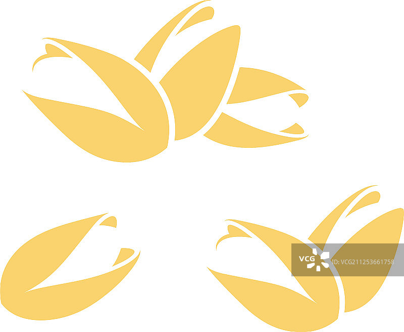 开心果图标集图片素材