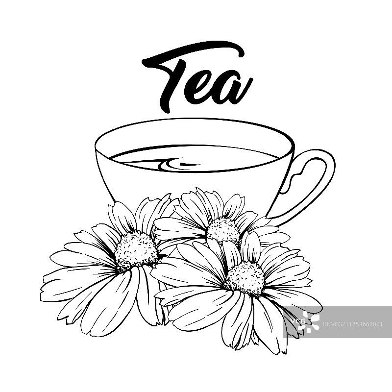 隔离的洋甘菊瓷茶杯图片素材