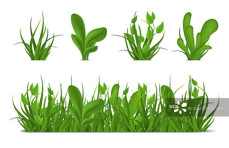 逼真3D绿色草地场景图片素材