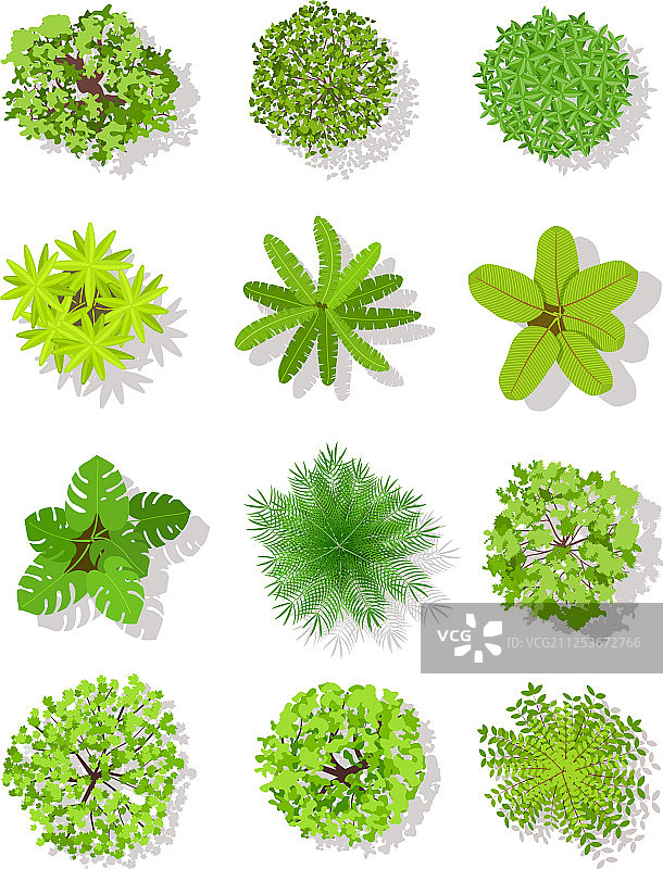 俯视带叶子的树木景观规划图图片素材