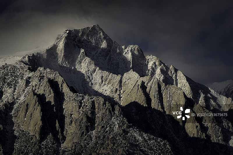 冬日清晨：孤松图片素材