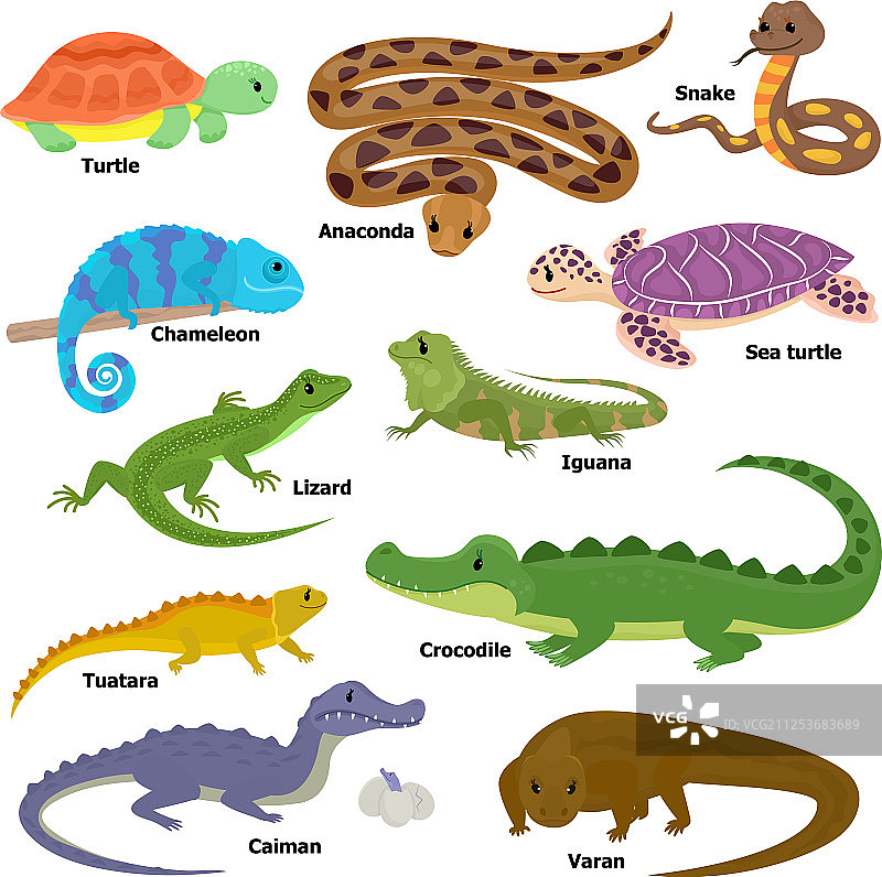 爬行动物蜥蜴角色图片素材