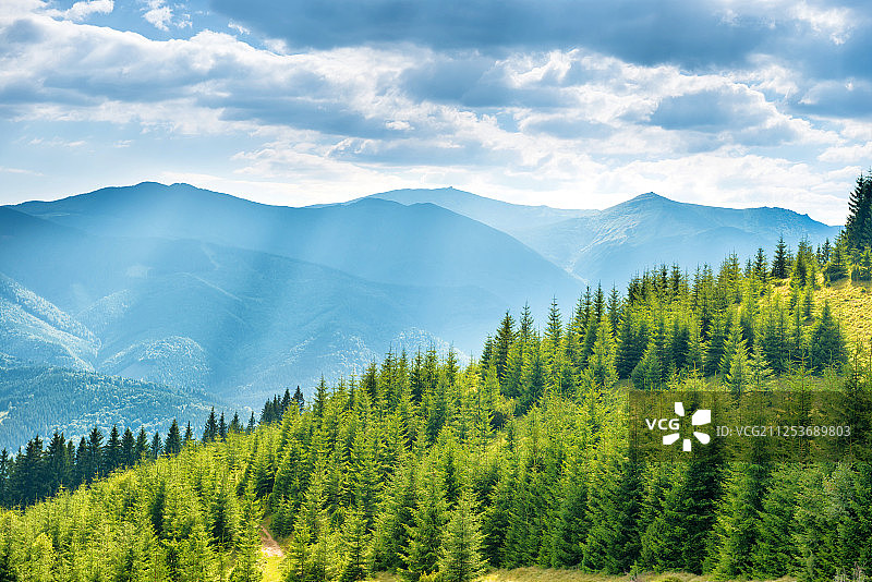 绿色阳光明媚的山丘图片素材