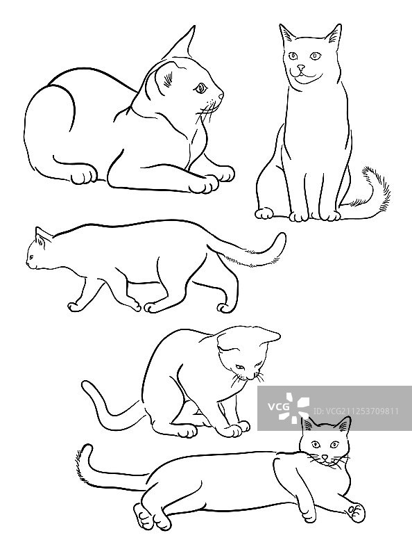 白色背景上的猫咪线条图片素材