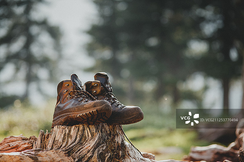 登山靴在树干上图片素材