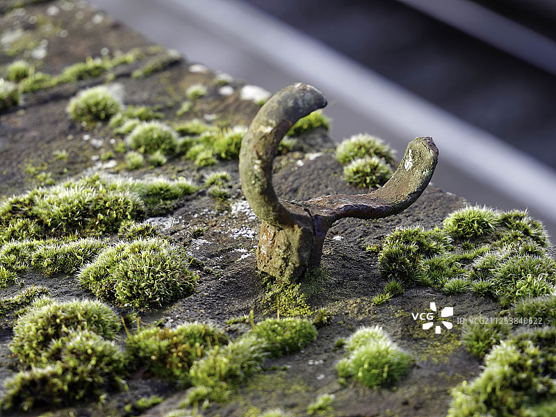 皇家唐bridge wells桥上的锈迹斑斑的铁制品和苔藓图片素材