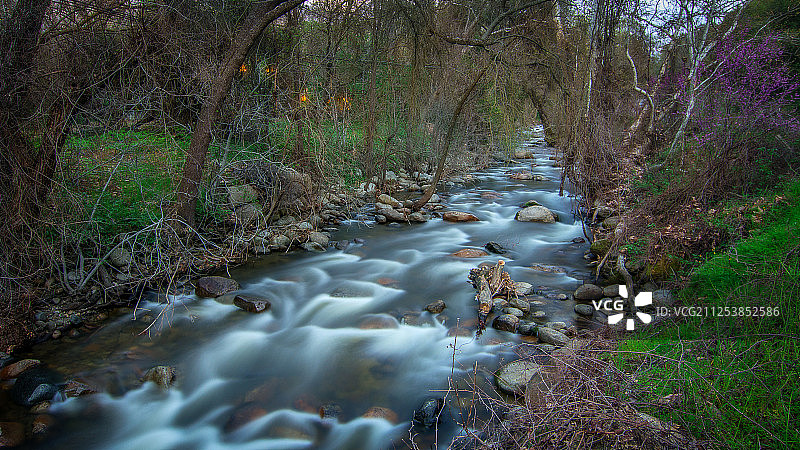黑暗后的南叉图片素材