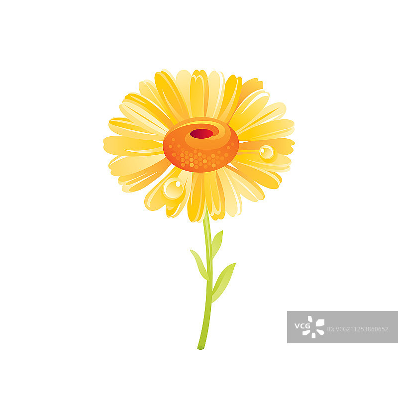 雏菊花朵写实卡通可爱花卉图标图片素材