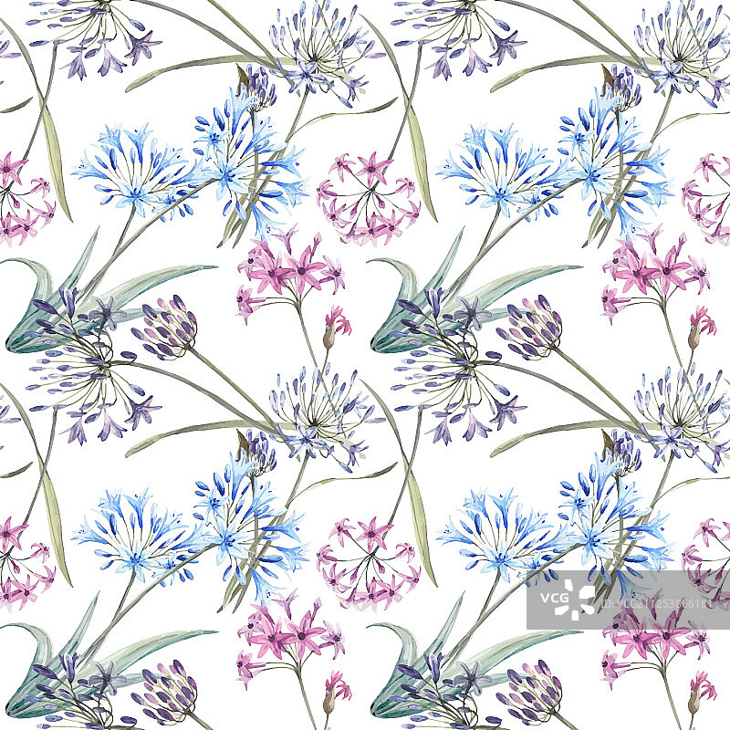 水彩葱属花卉无缝图案图片素材
