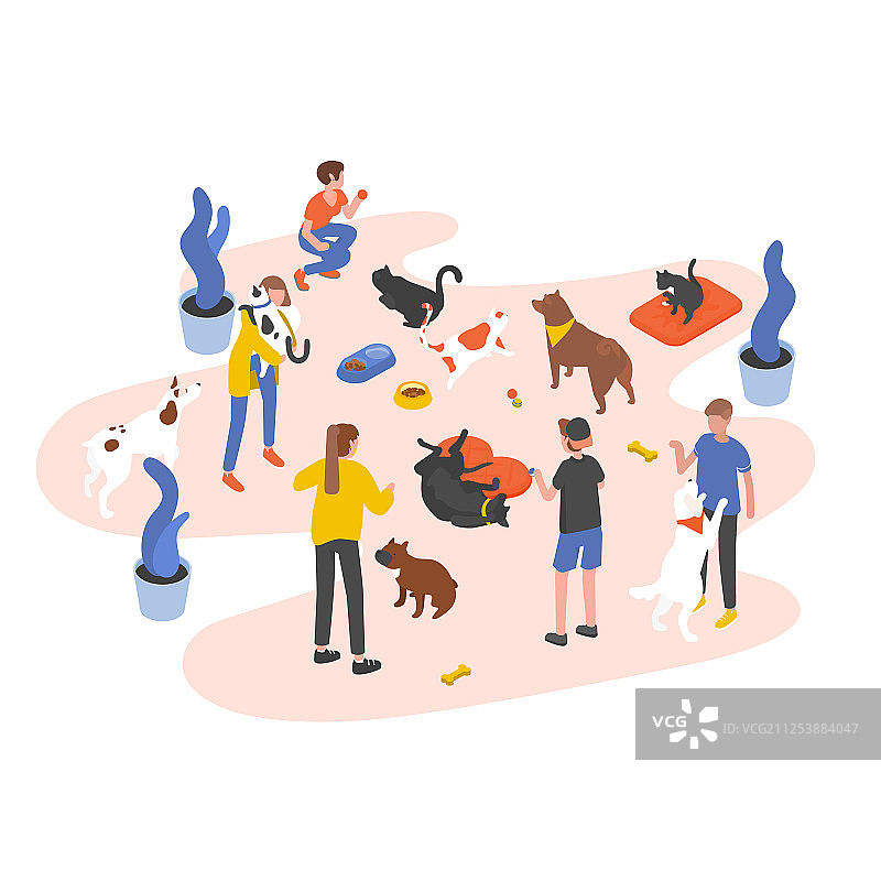 志愿者喂养宠物图片素材