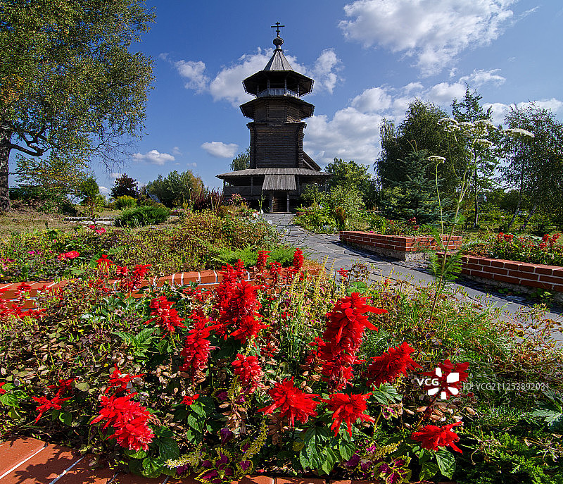 多云天空下的花卉植物图片素材