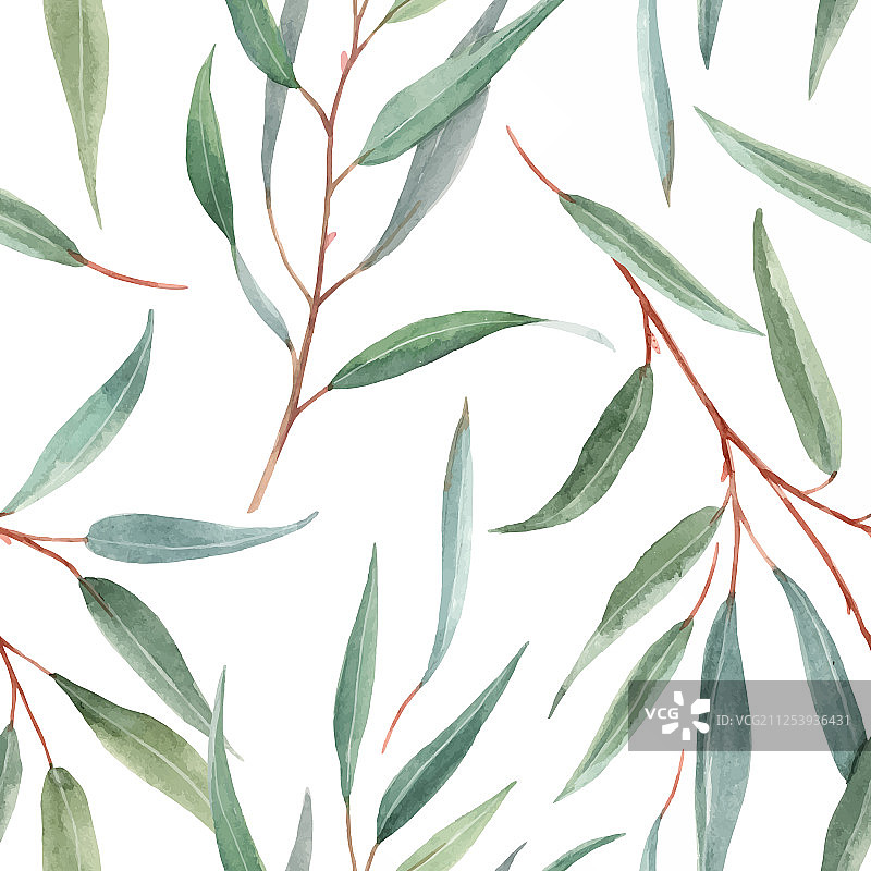 水彩澳大利亚花卉图案图片素材