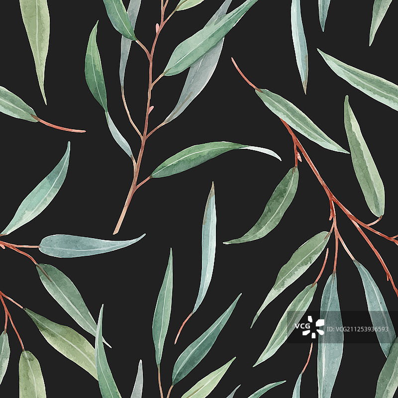 水彩澳大利亚花卉图案图片素材