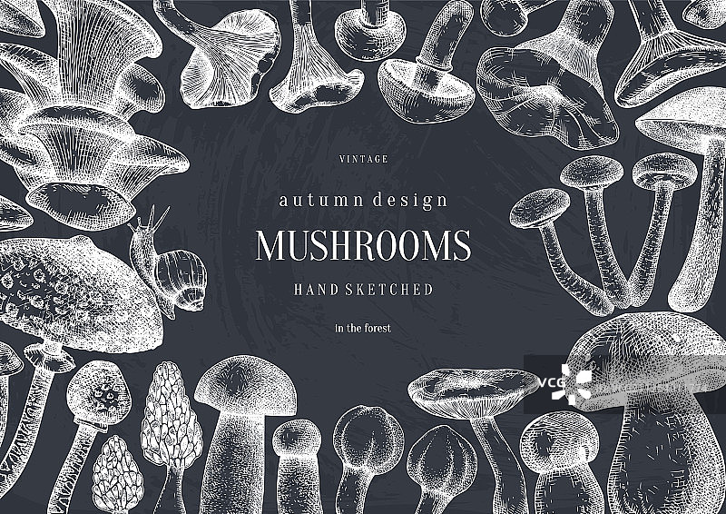 带食用蘑菇的复古边框设计图片素材