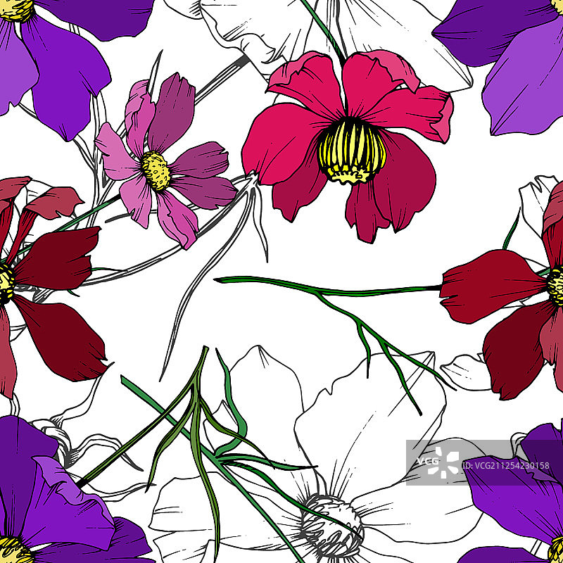 宇宙花，植物花黑色和图片素材