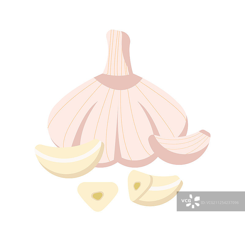 大蒜孤立在白色背景上图片素材