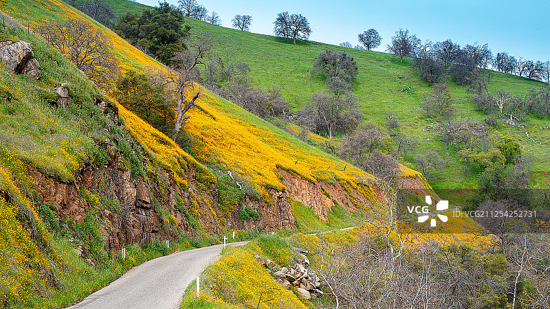 金色群山图片素材