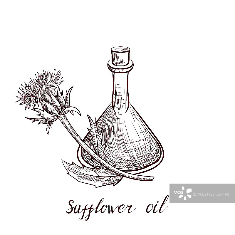 绘制红花籽油图片素材