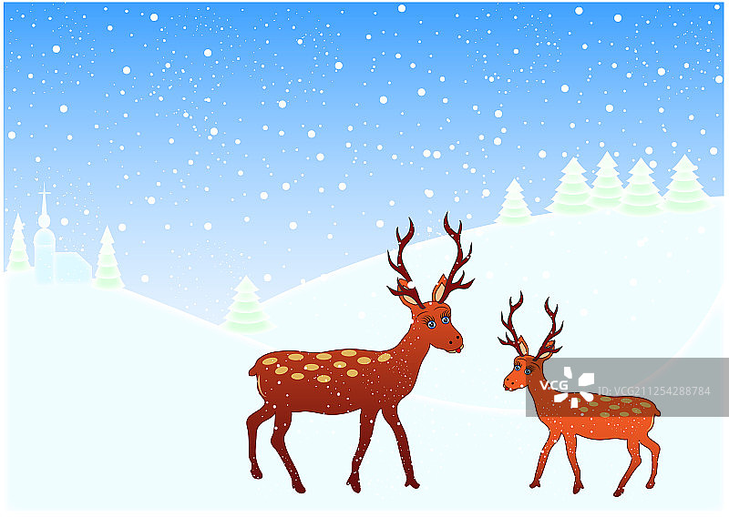 山地景观中雪地上的两只休耕鹿图片素材