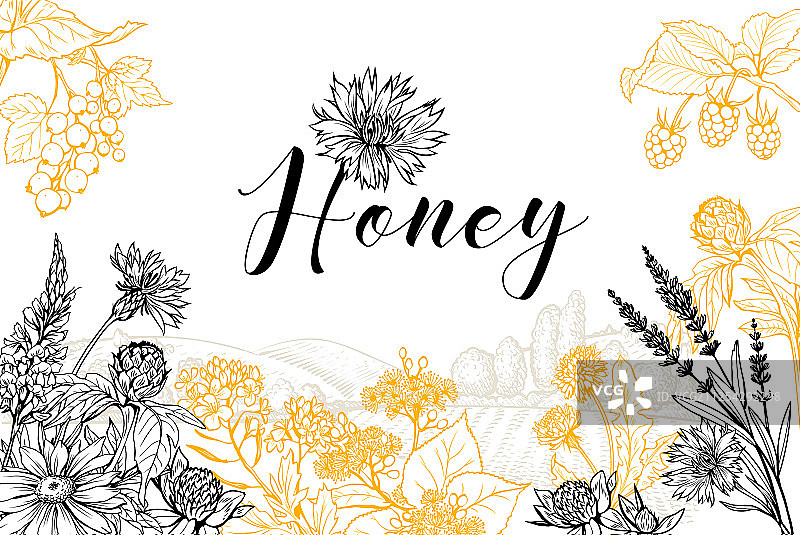 手绘蜂蜜banner模板图片素材