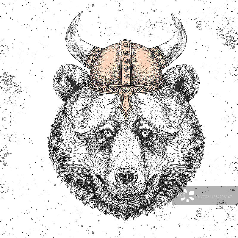 戴维京头盔的时尚熊图片素材