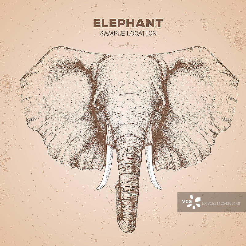 手绘嬉皮风动物象嘴图片素材