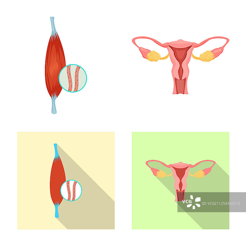 孤立的身体和人体图标合集图片素材