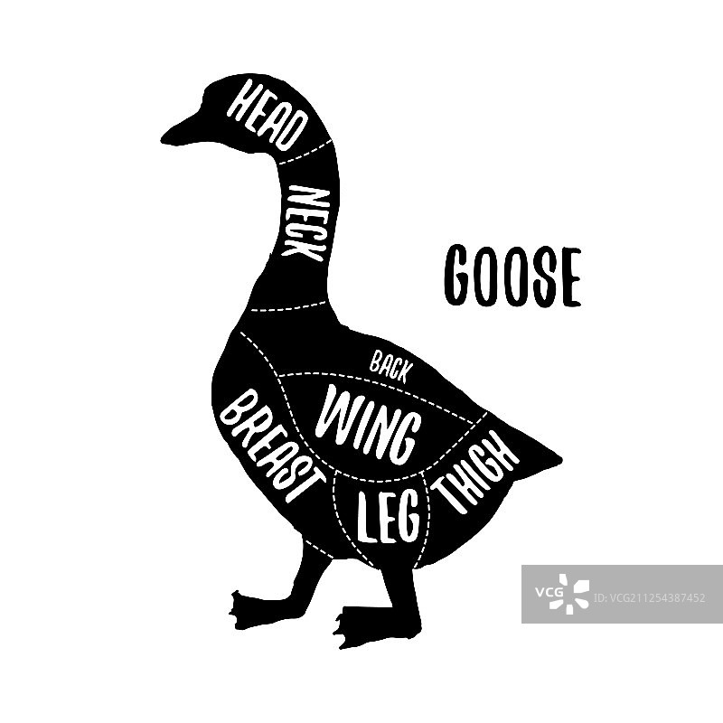 鹅肉分割图表图片素材