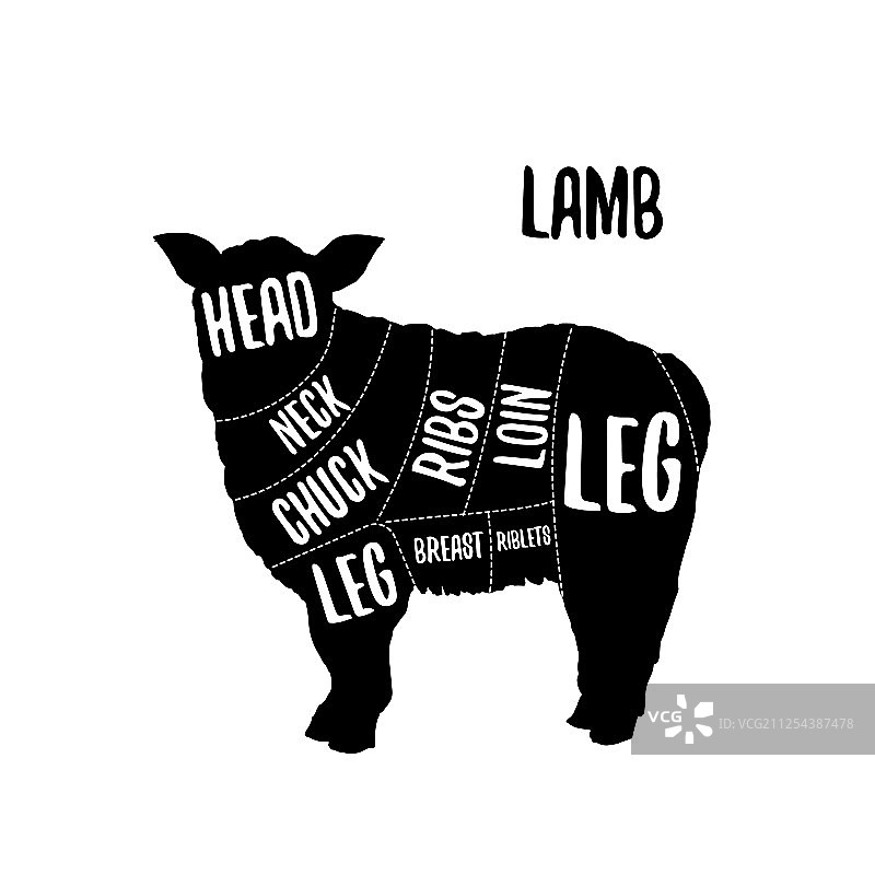 羊肉分割图表图片素材
