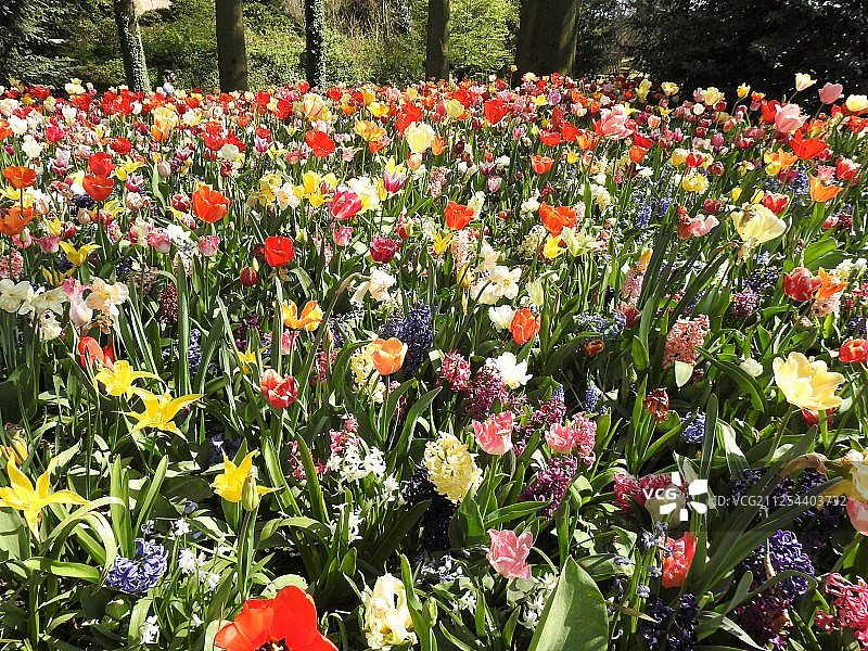 花卉调色板图片素材