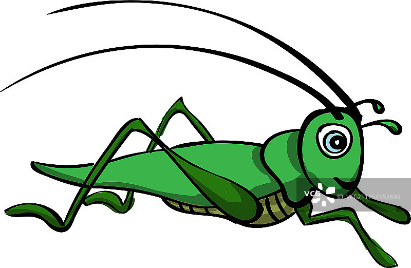 白色背景上的蚱蜢图片素材