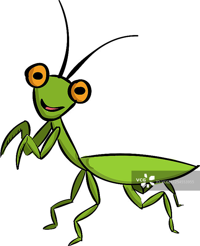 白色背景上的绿色螳螂图片素材