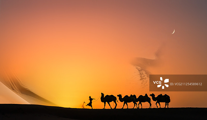 沙漠里的驼队与一个人图片素材