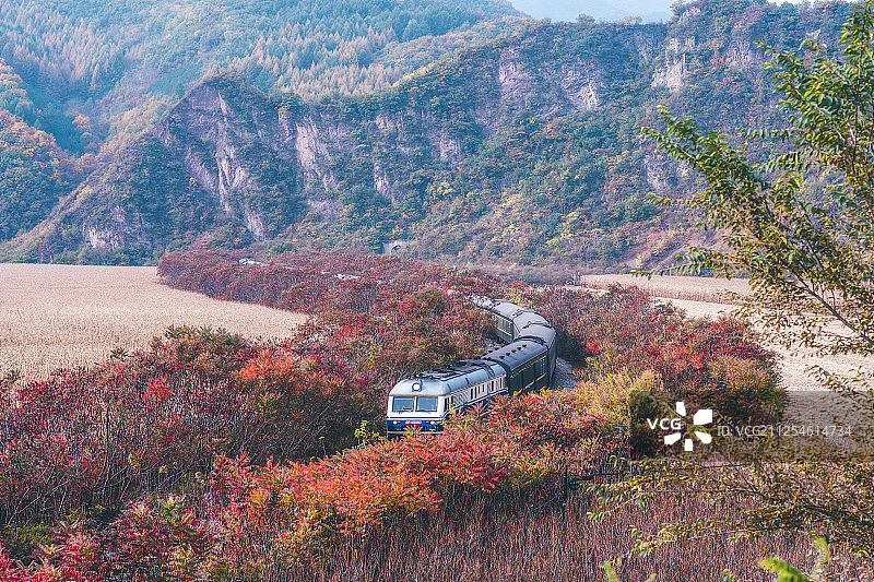 青石岭红叶火车图片素材
