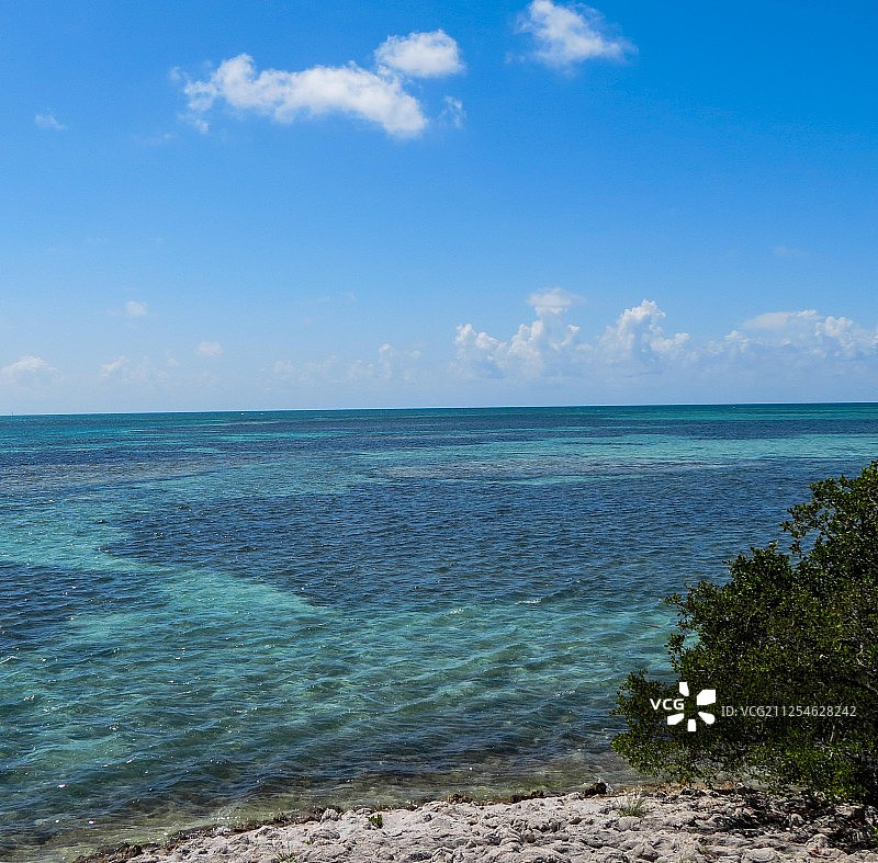 摄影图像图片素材