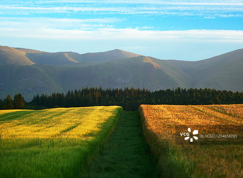 苏格兰奥奇尔山乡村田野风光图片素材