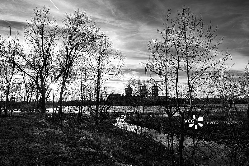 日落时分的冬日树木图片素材