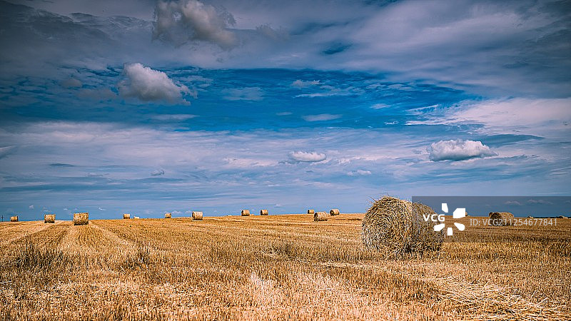 蓝天白云下的干草卷图片素材
