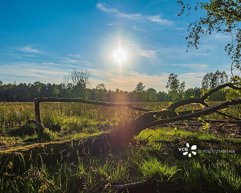 阳光下的风景图片素材