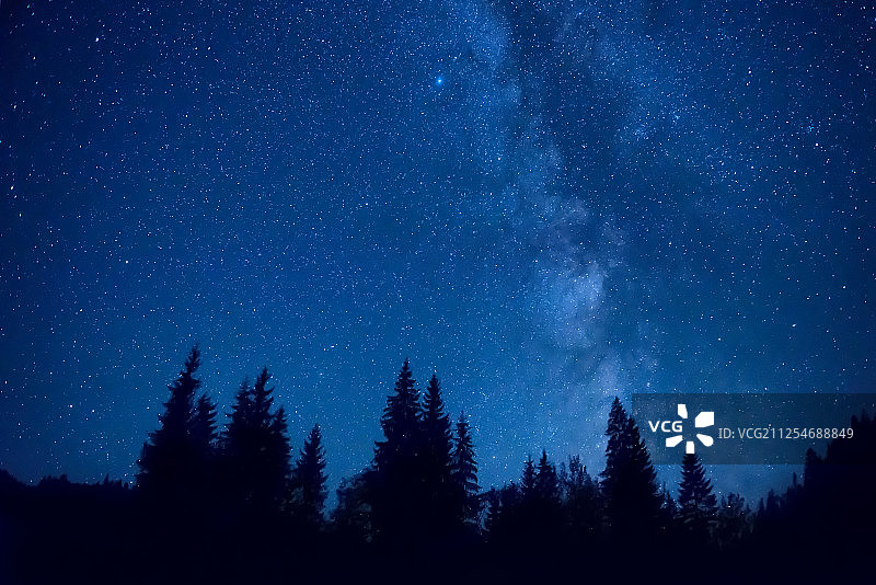 夜间森林图片素材