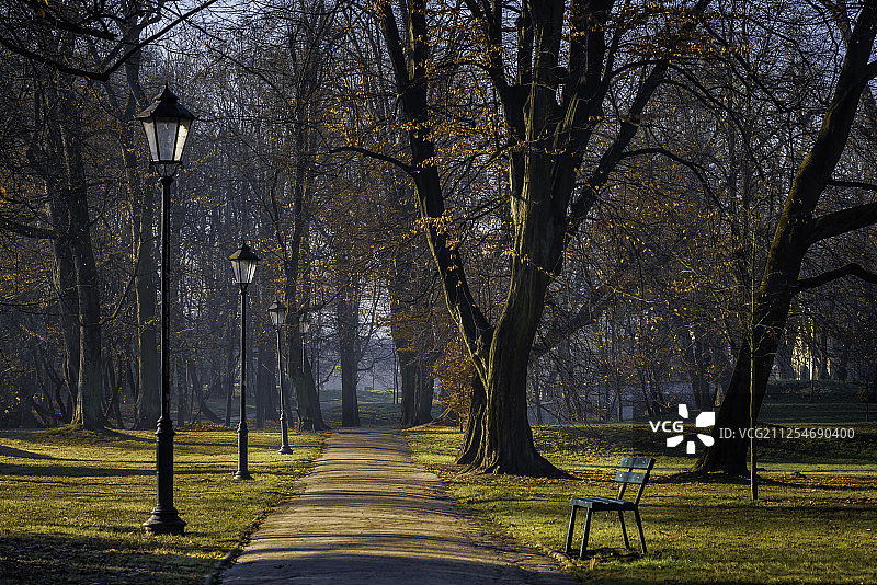 波兰克拉科夫公园的长椅与秋色图片素材
