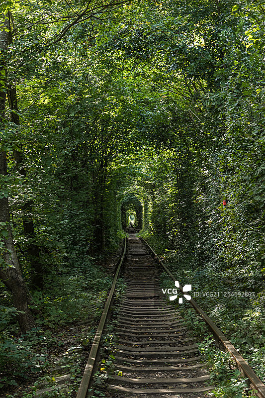 爱之隧道图片素材